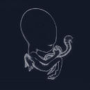 sigur ros