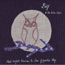 Boy And The Echo Choir - And Night Arrives In One Gigantic Step
